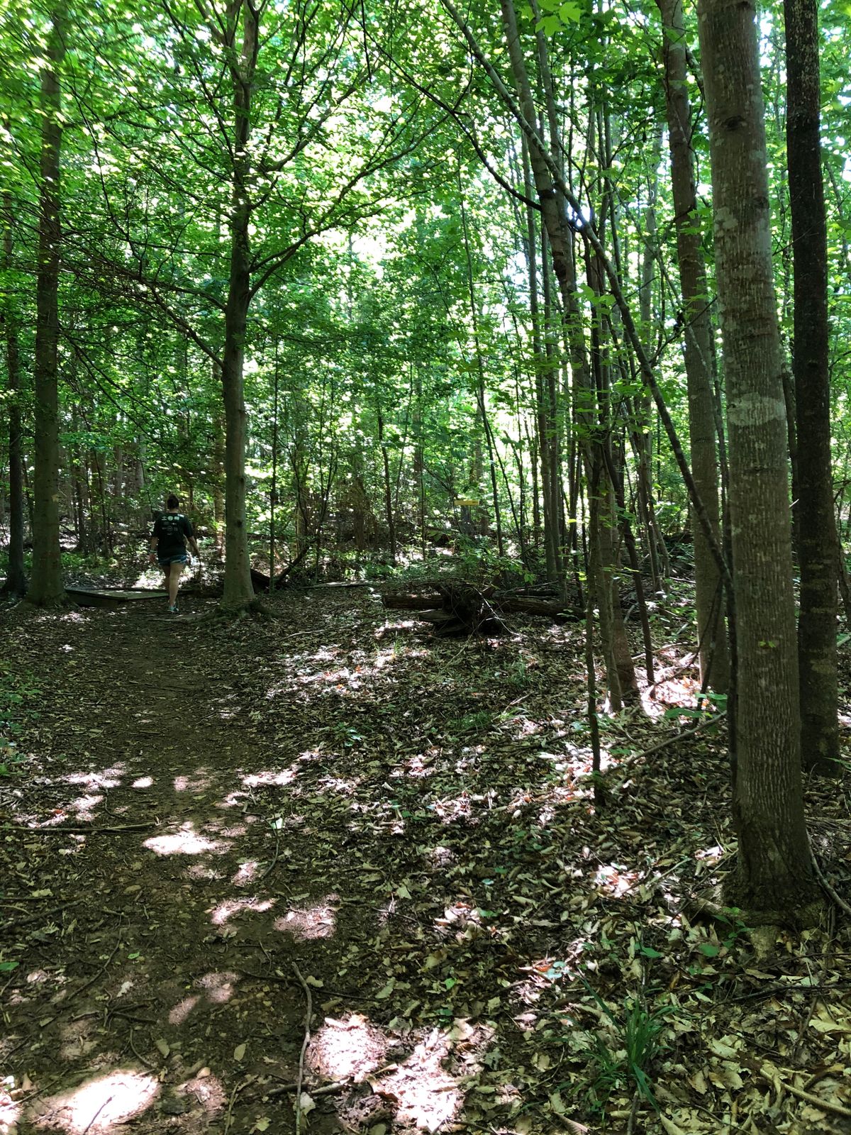 Fairway and approach to 7th hole