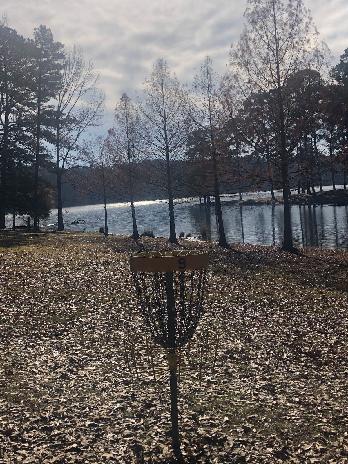 Hole 9 basket