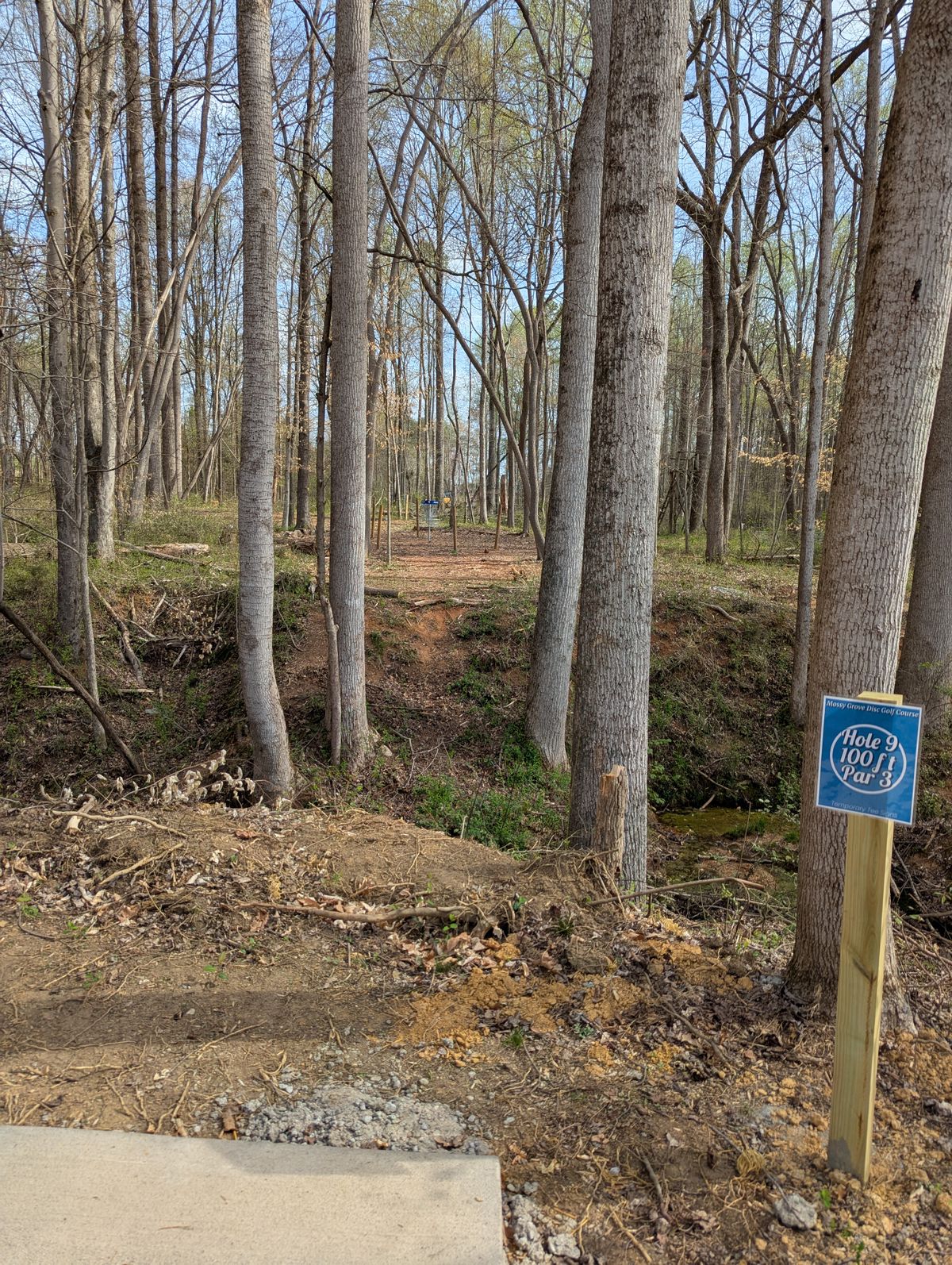 Hole 9