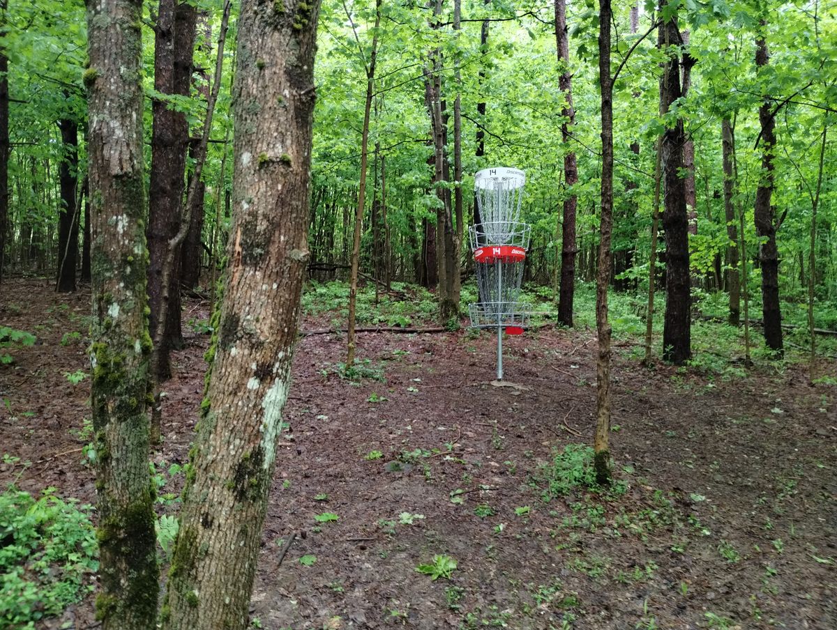 Hole 14 green