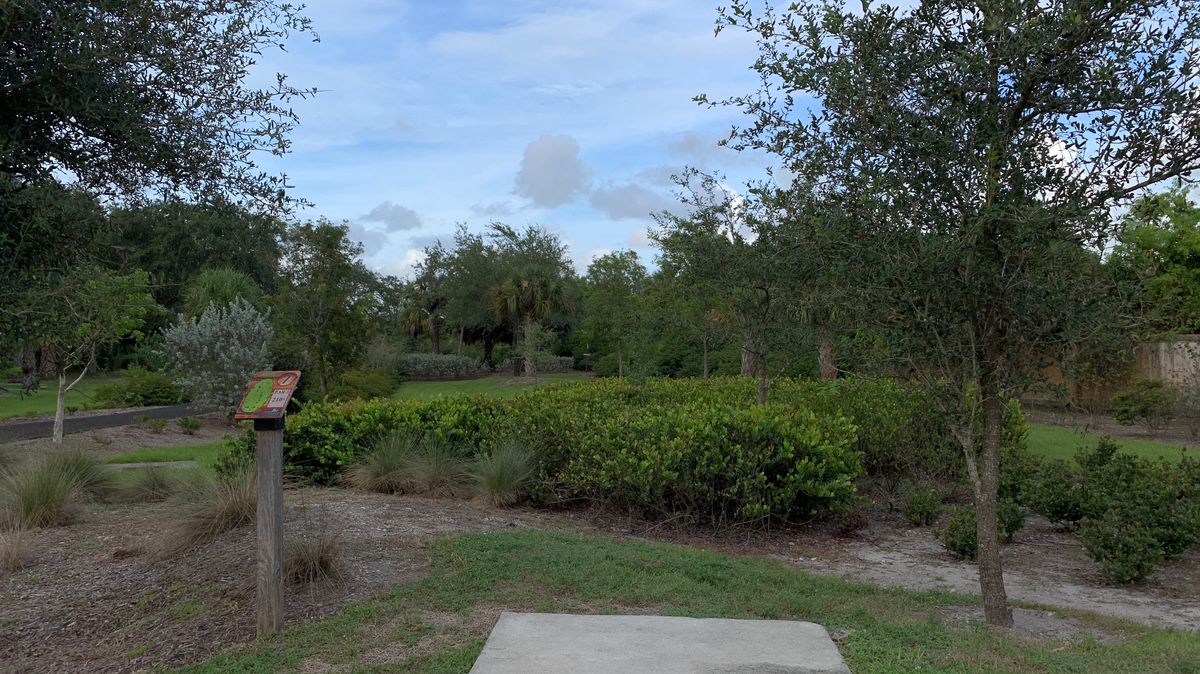 Hole 7