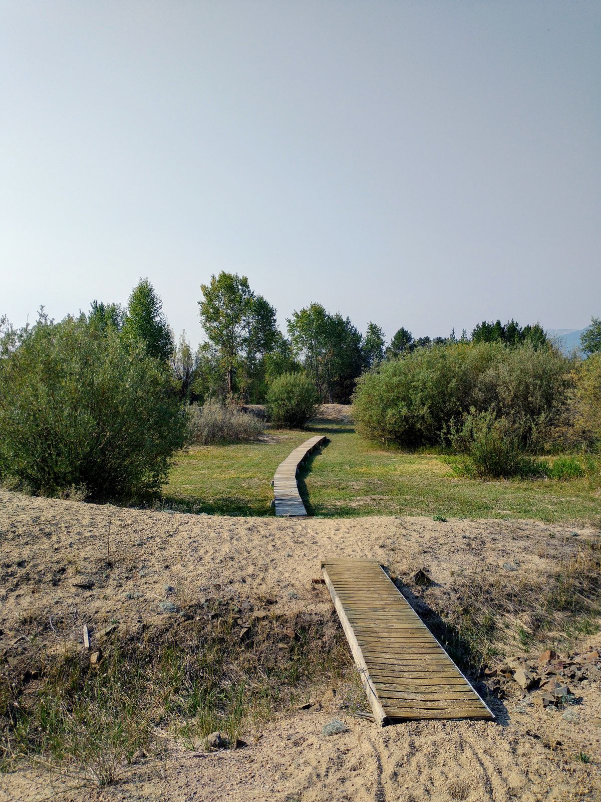 Cool Catwalk on #14! Bog area in wet months.