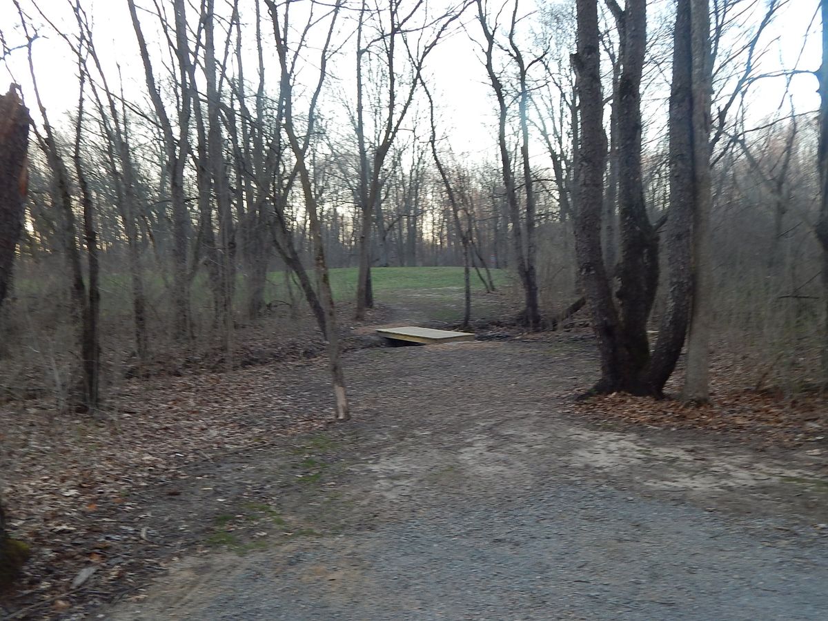 Hole 14 fairway, basket to the right slightly uphill, after making a gap over the walking bridge