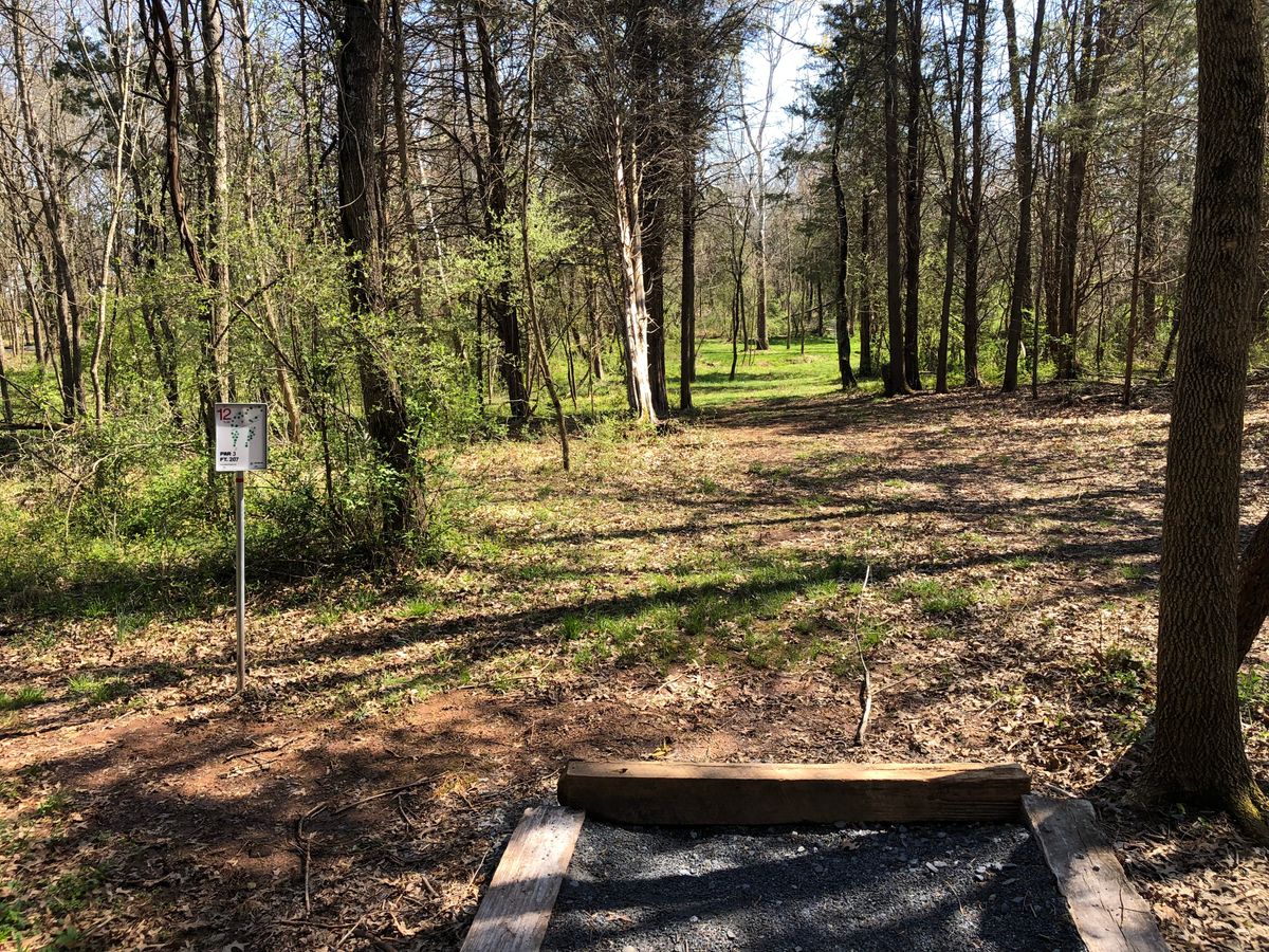 Hole 12 Short Tee