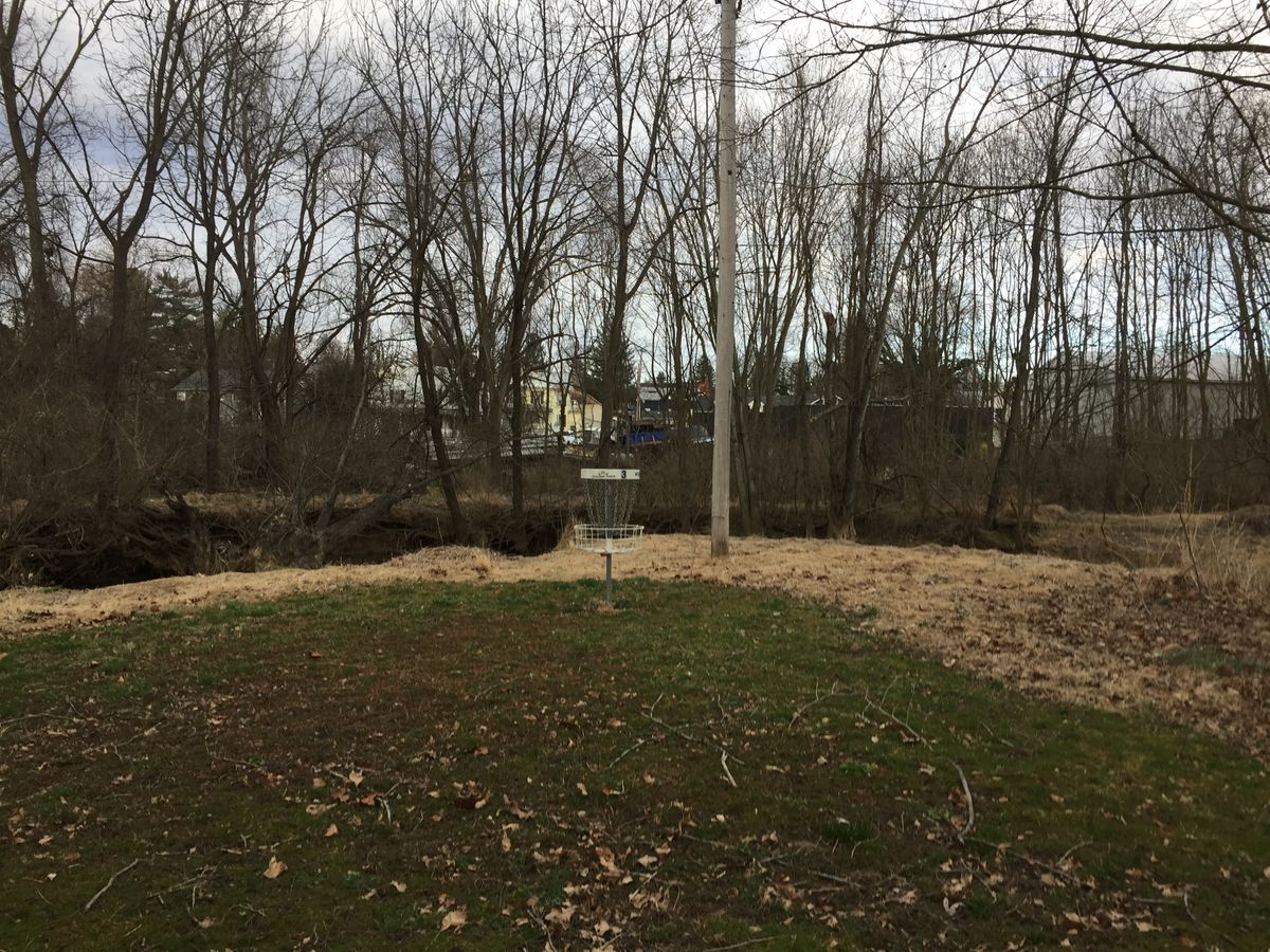 Hole 3 - low branches come into play off the tee
