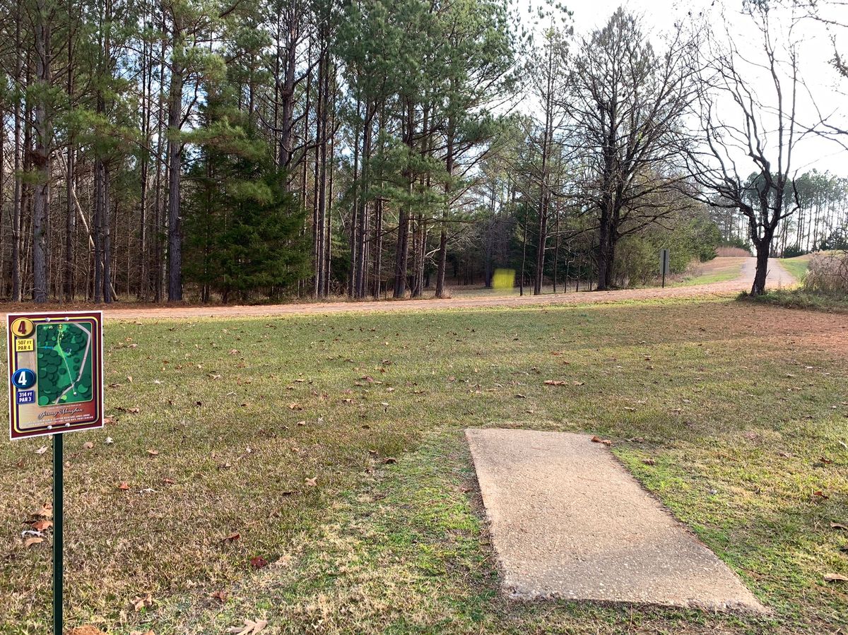 Hole 4, basket is highlighted