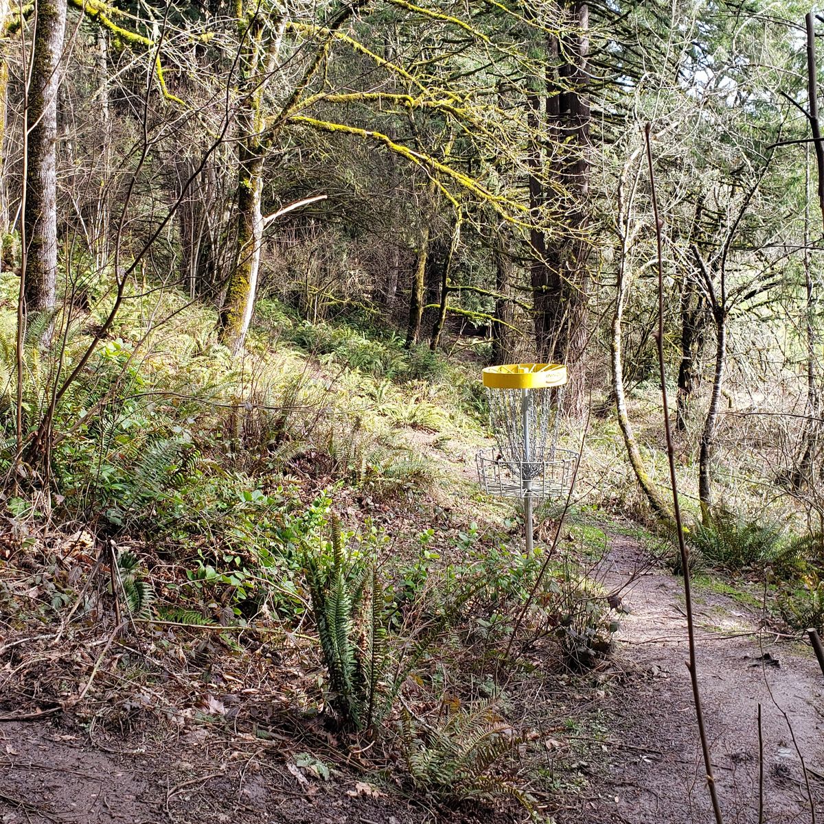Hole 9 looking back at T-box.