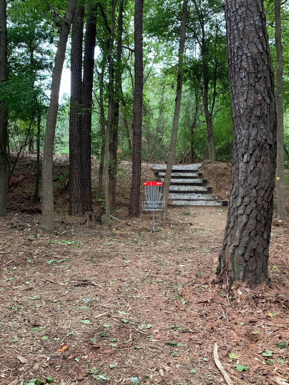 Basket hole 1 with stairs