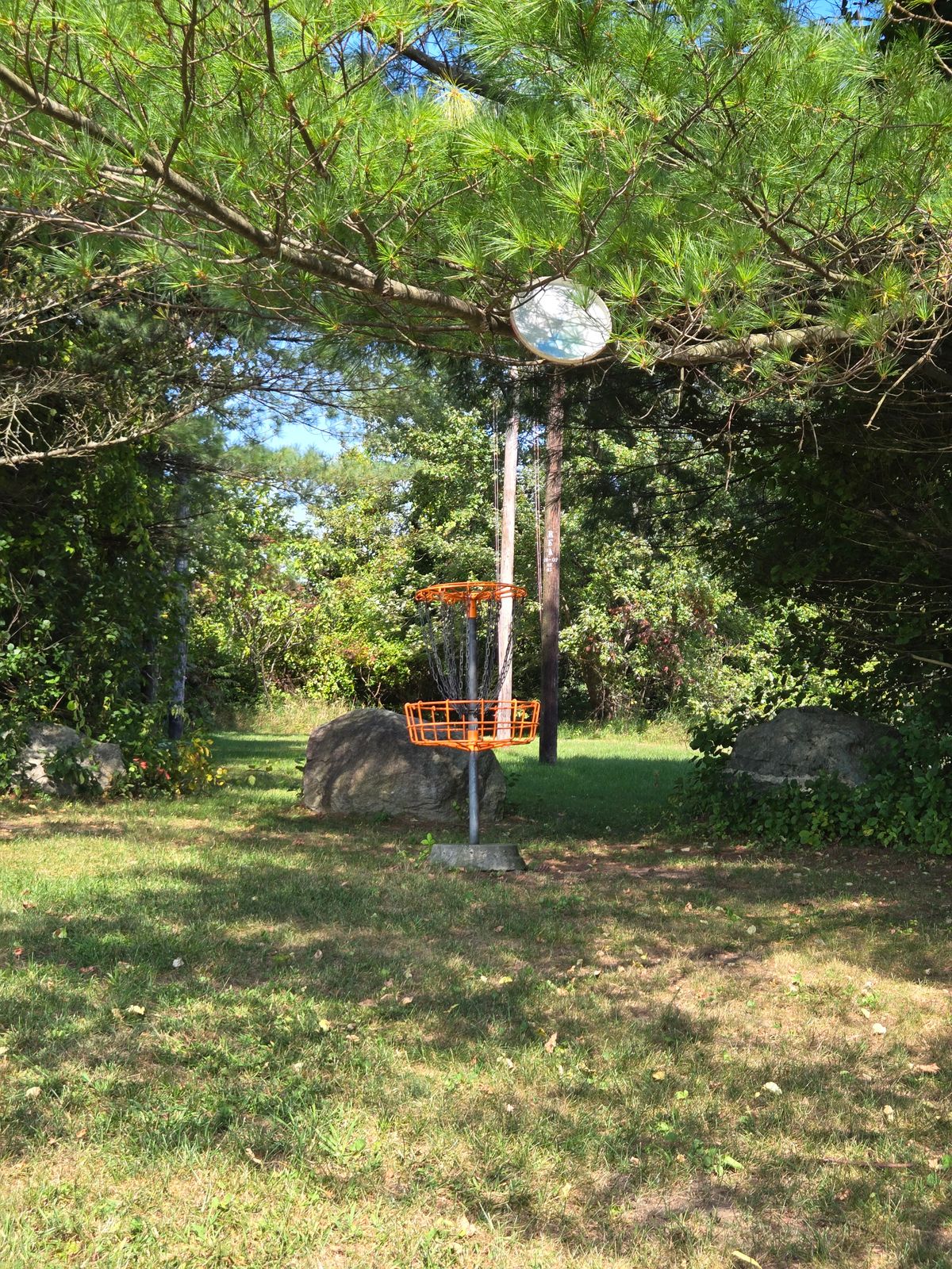 Hole 5s basket. I almost fell prey to the 2-meter rule!