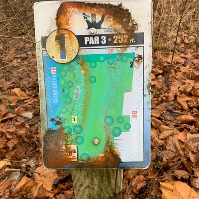 Short tee pad to Basket 01.