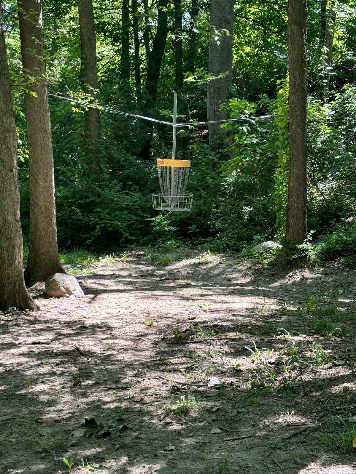 Hole 7s new hung basket