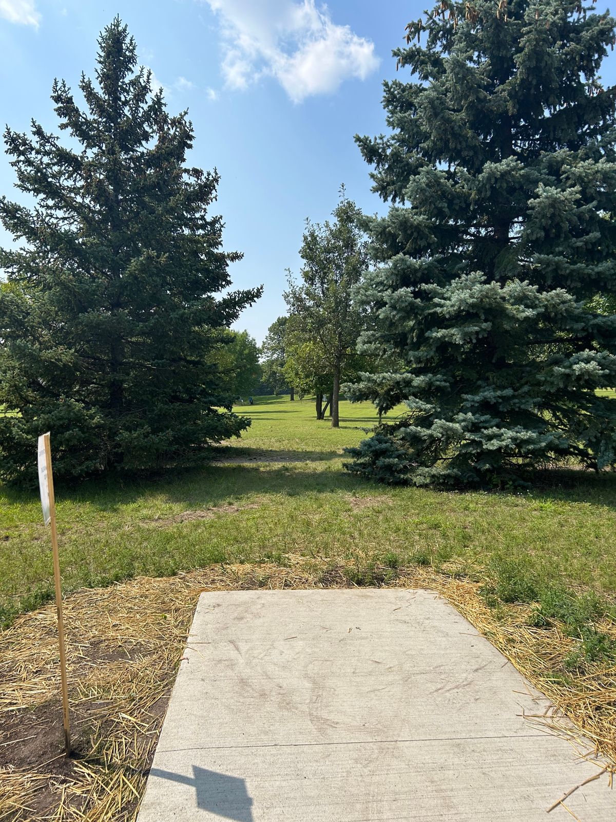 Hole 13, 300 ft RHFH hyzer