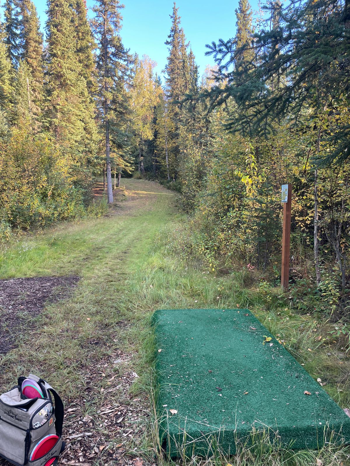 Hole 12 Tee Pad