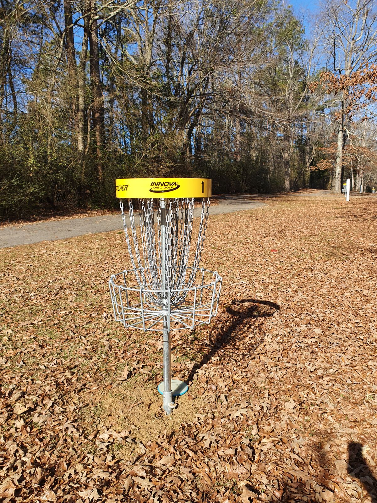 discatcher baskets (#1)