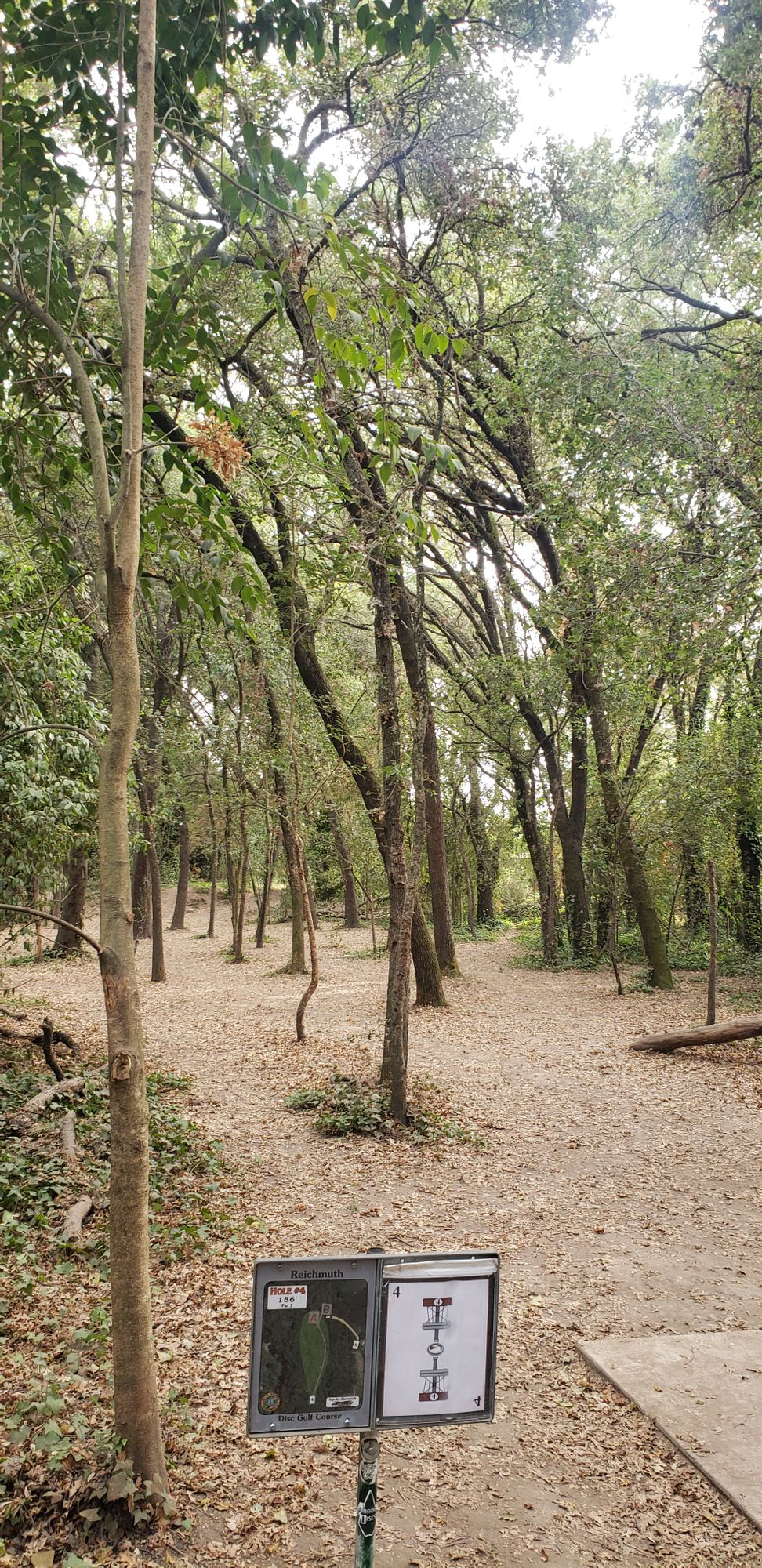 Hole 4