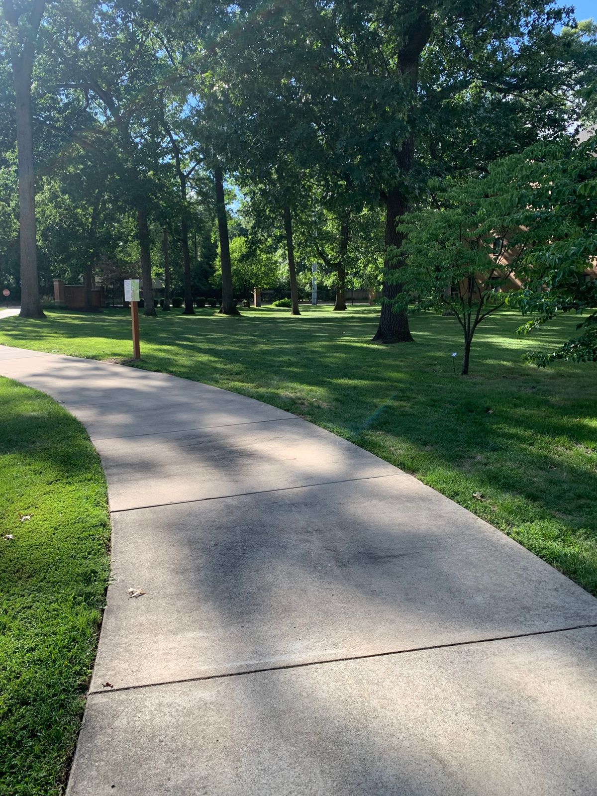 Looking across fairway for Basket 01.