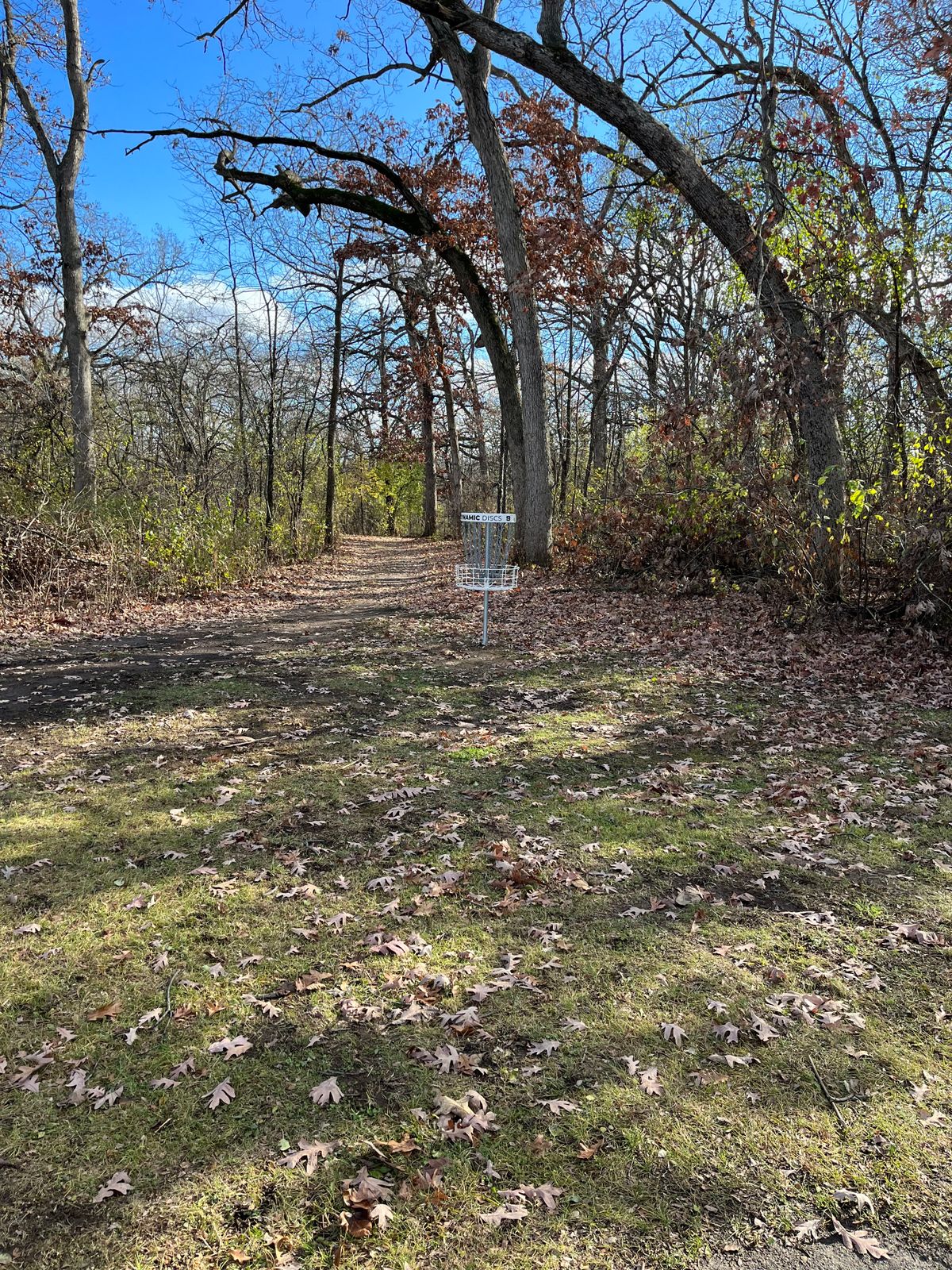 Hole 9 Basket