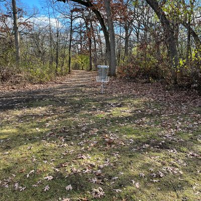 Hole 9 Basket