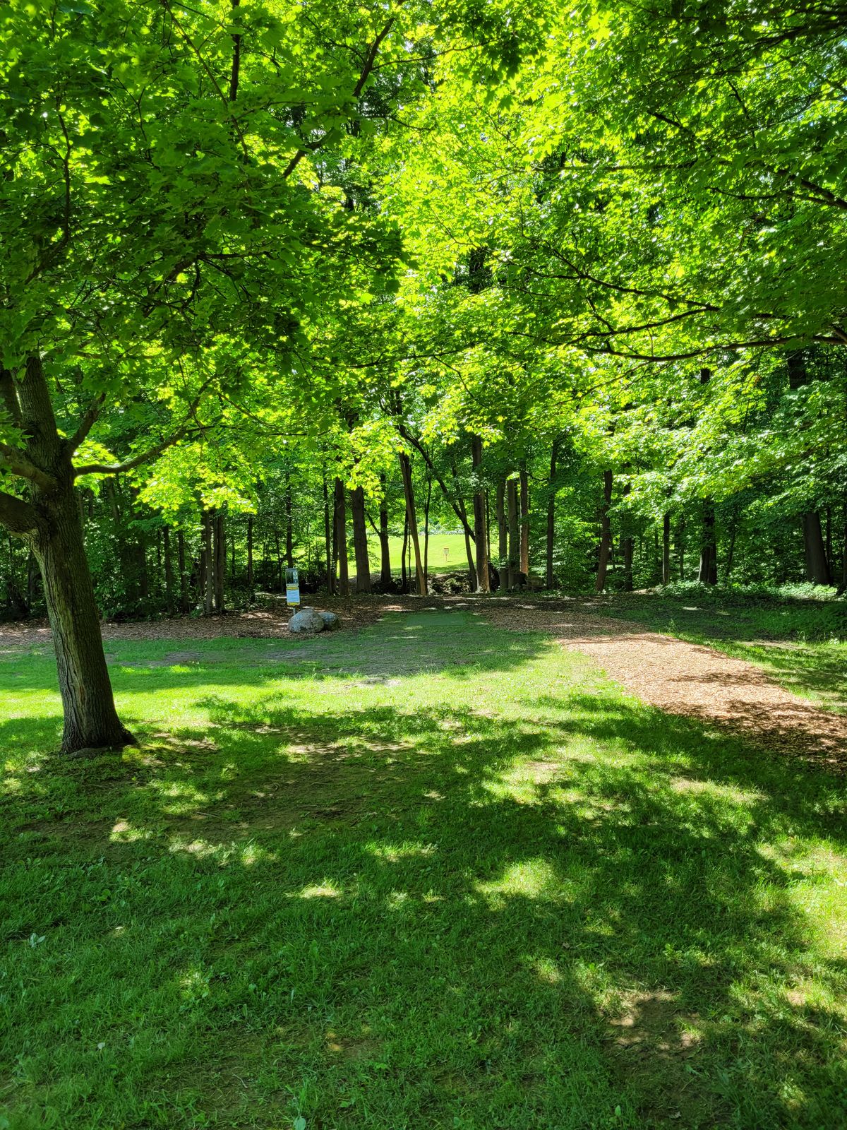 Hole 1 blues