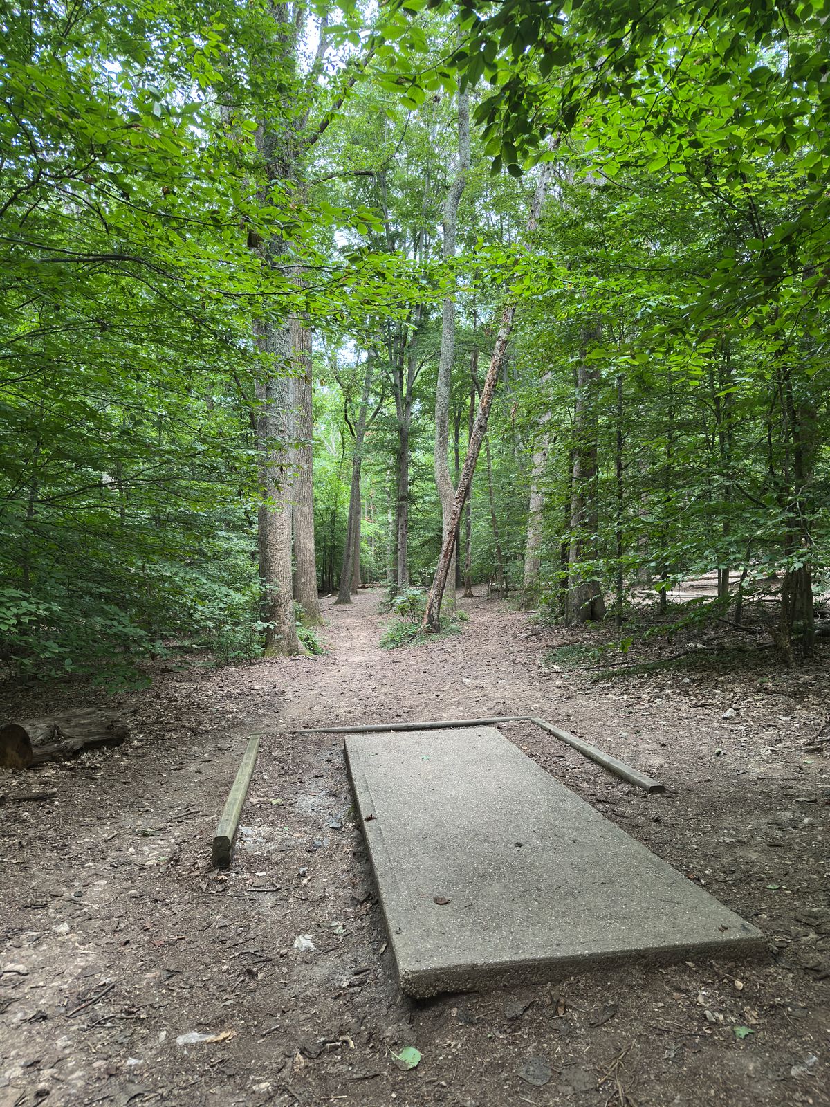 Hole 17 red tee