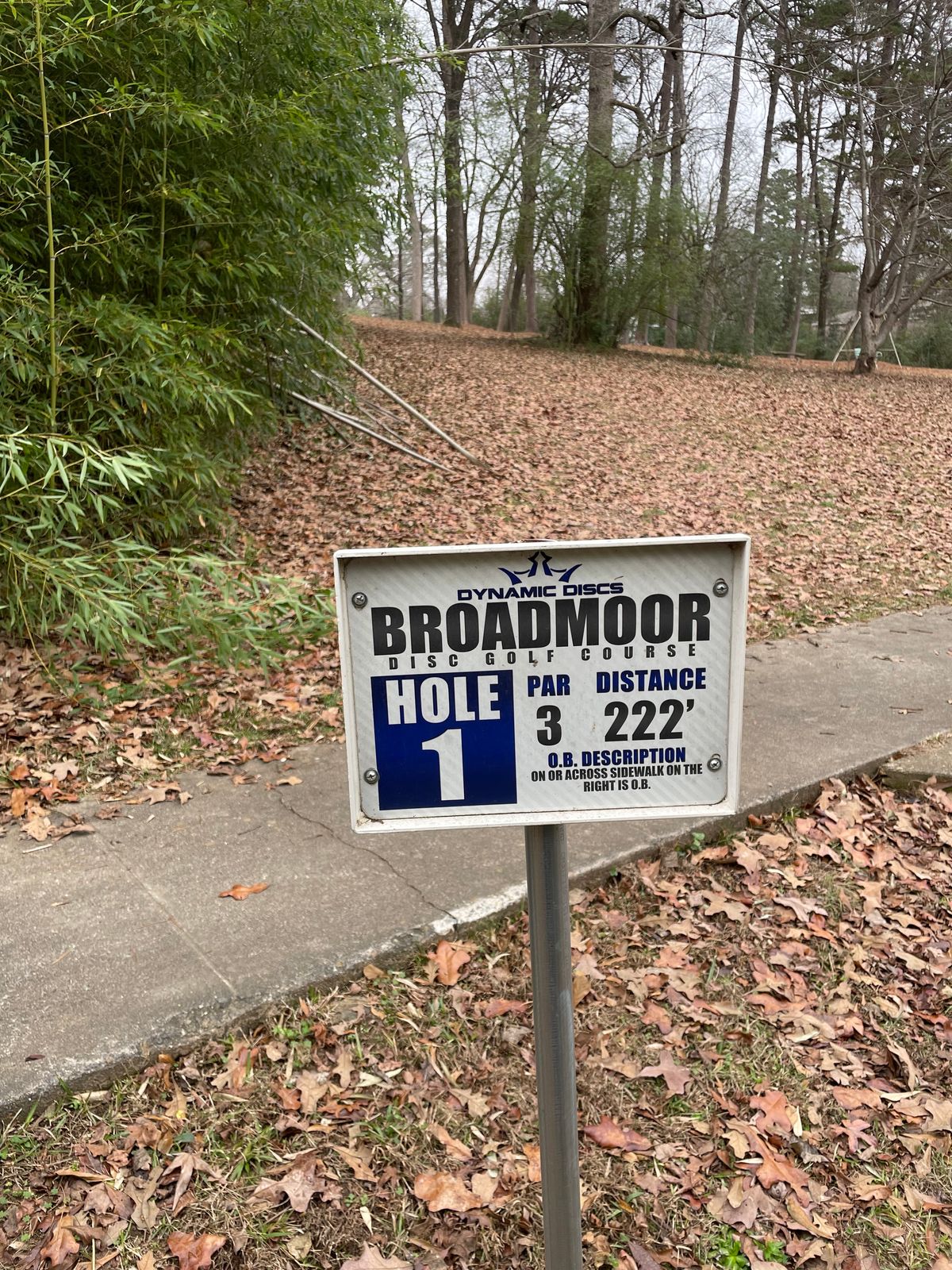 Hole1: Right when you come down the sidewalk between houses.