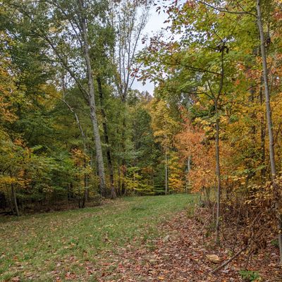 Hole 4b, only one tee