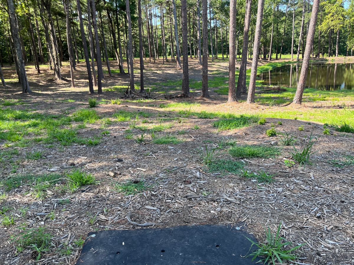 Hole 8 tee box