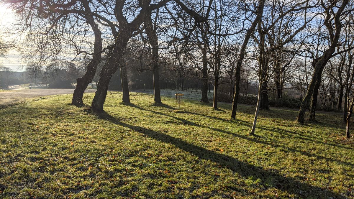 Long shadows. Hole 6 on a wintery morning.