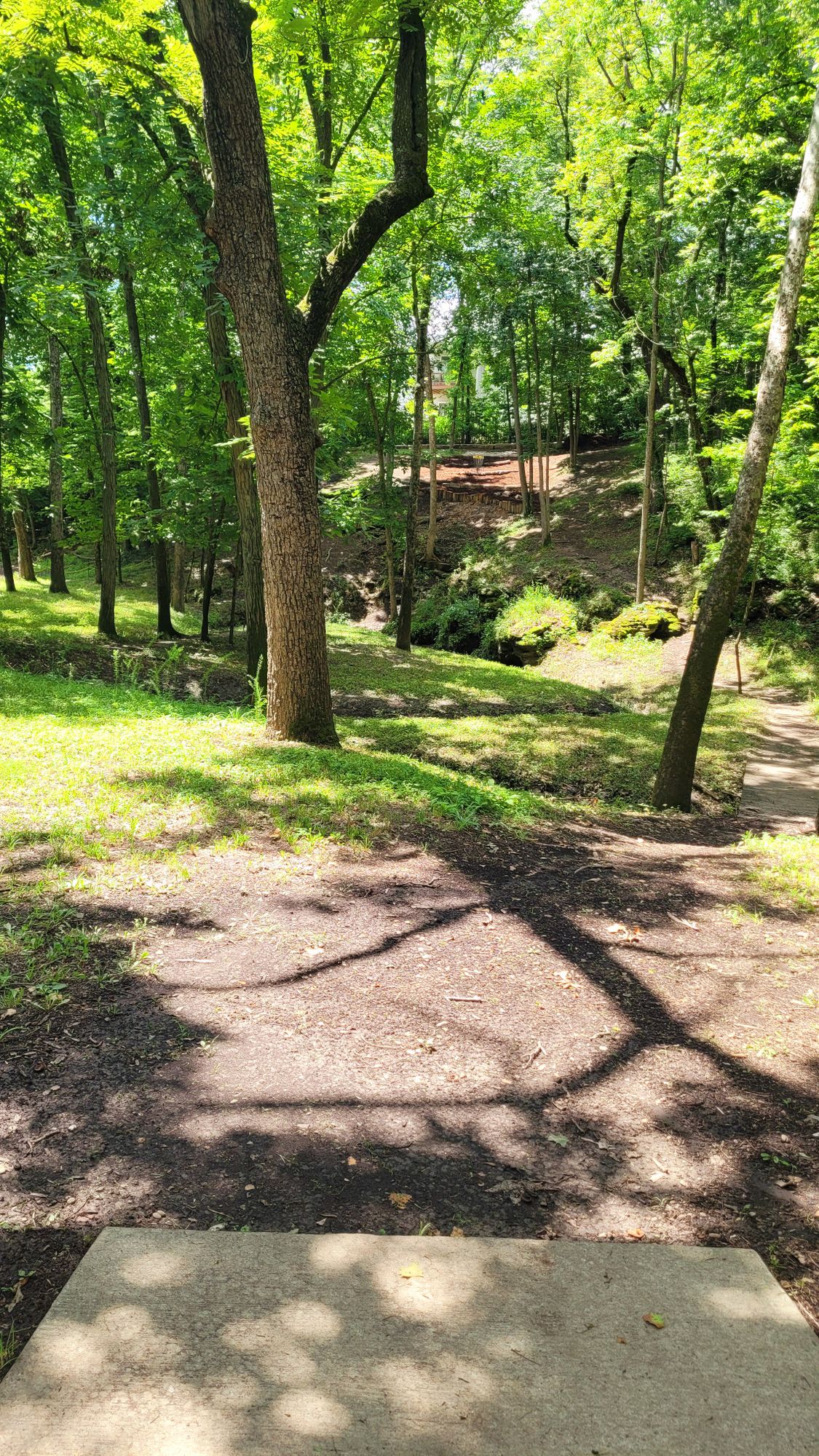 Hole 8
White/Blue Tee