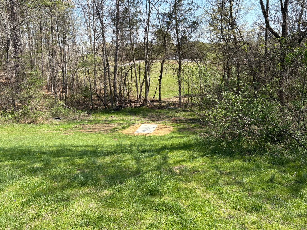Hole 5 tee