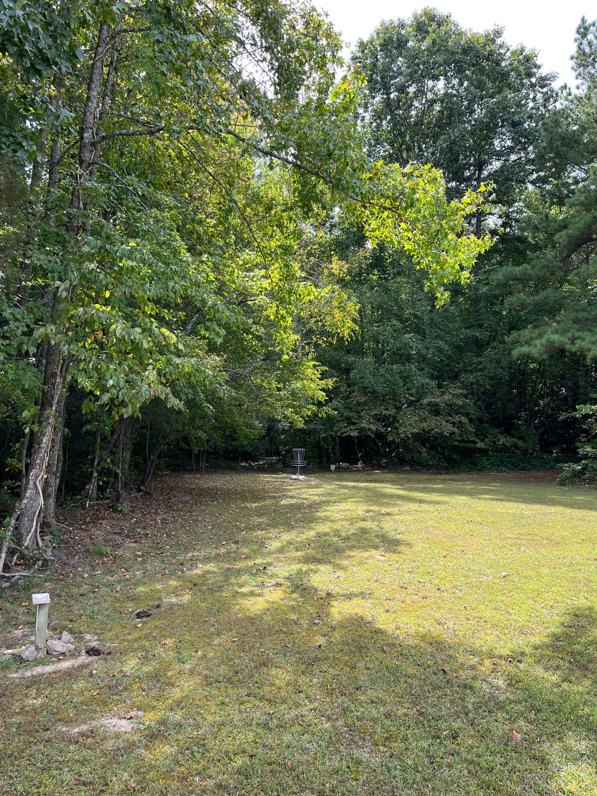 Hole 8: green