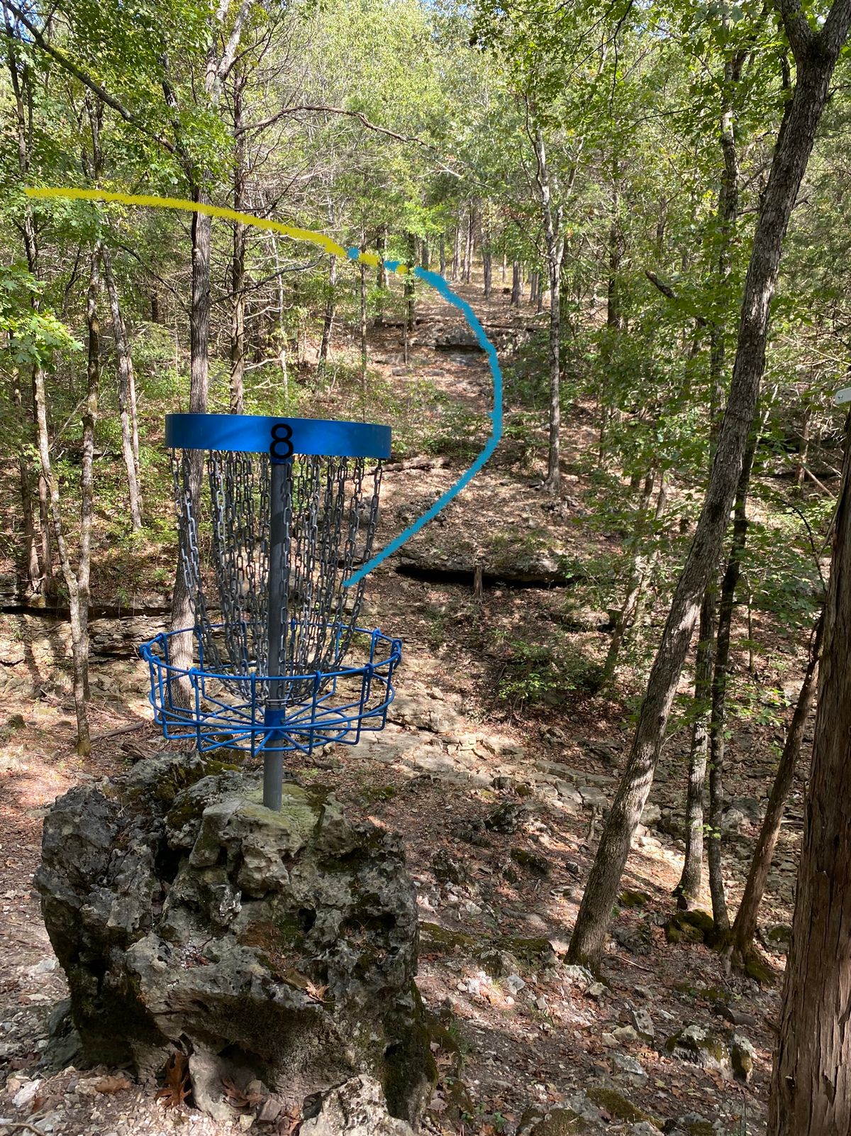 Elevated basket on #8  don’t miss your putt :)