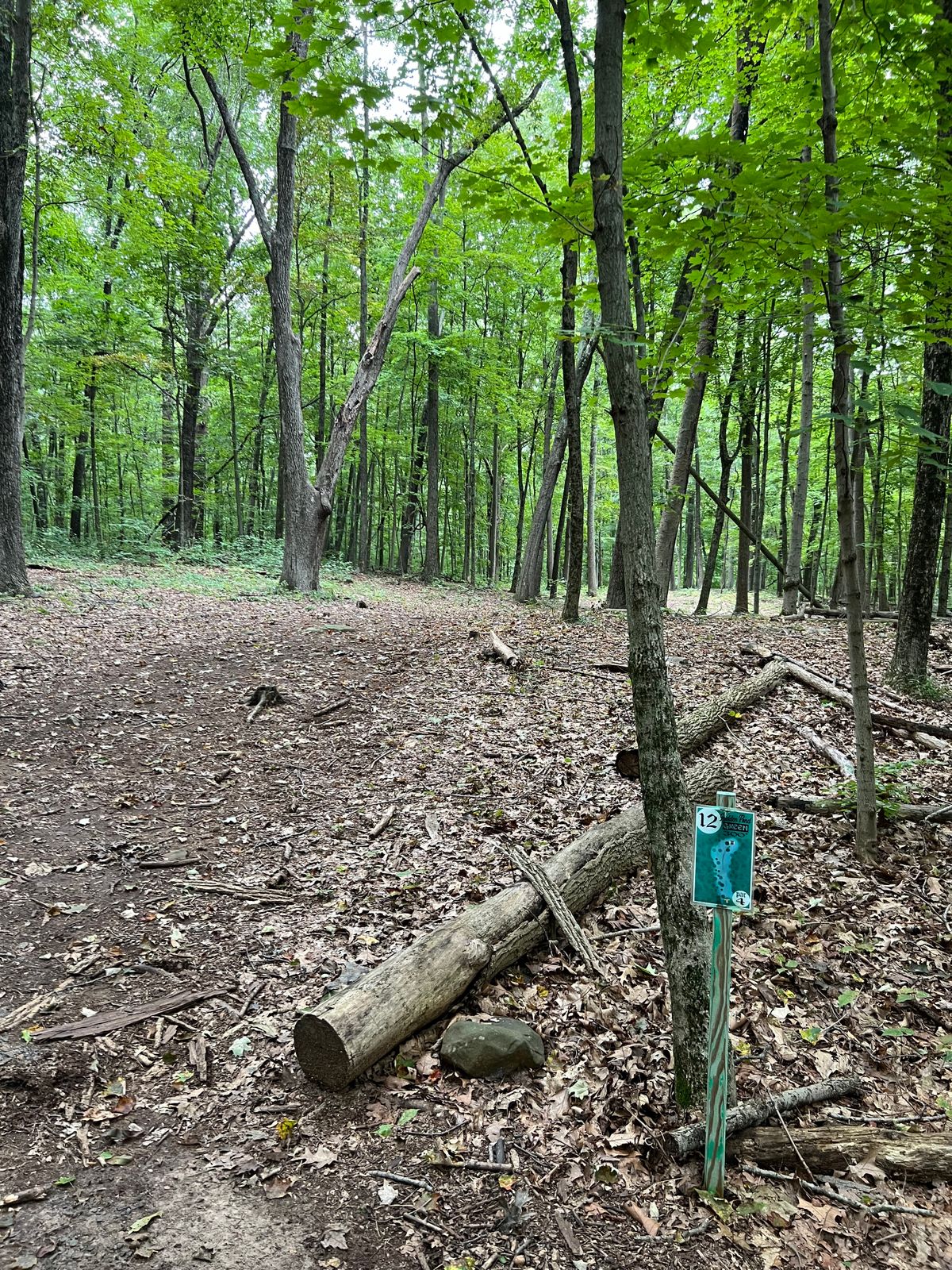 Hole #12