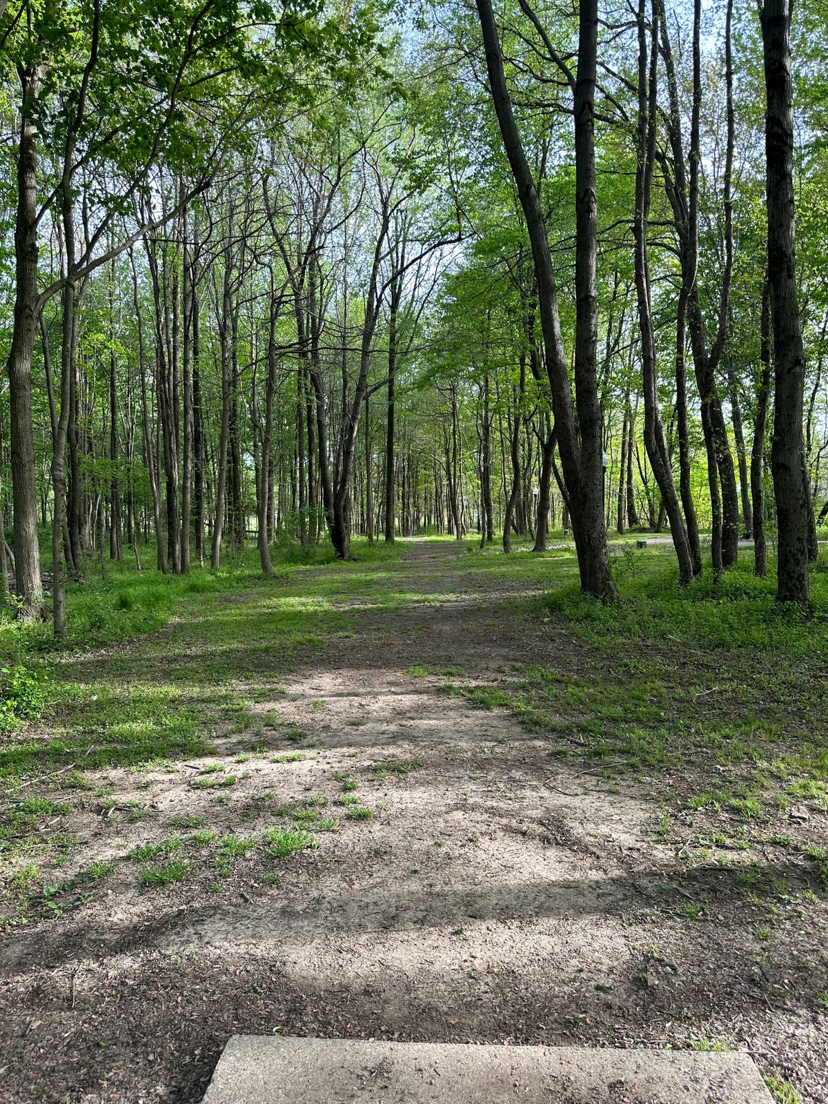 Hole 5 from the tee.