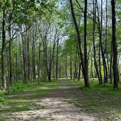 Hole 5 from the tee.