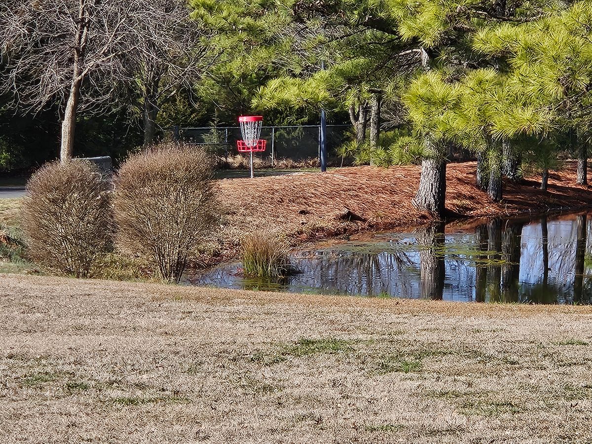 Favorite water hole