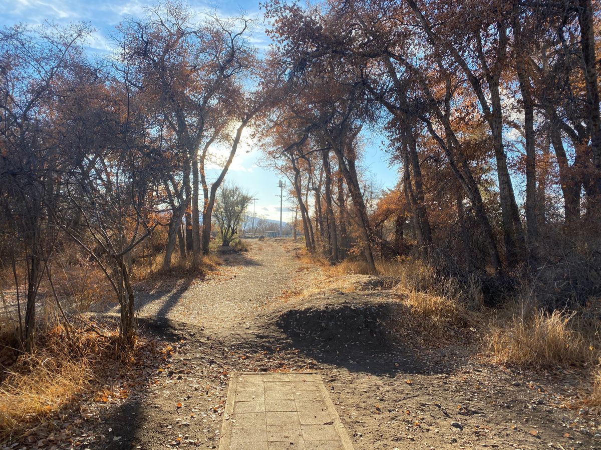 Art Dye Disc Golf Park Course Photos