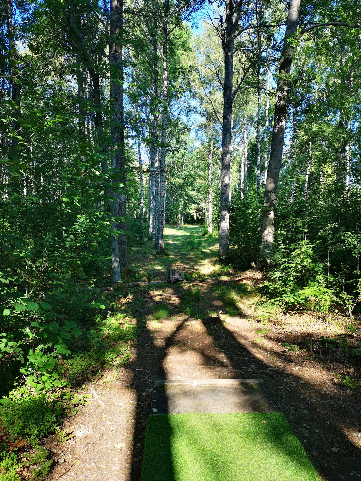 Tee 17