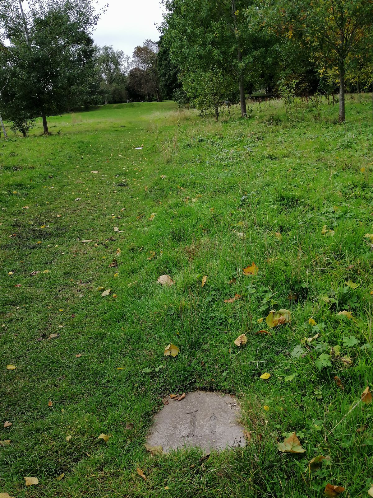Location of Tee 1.