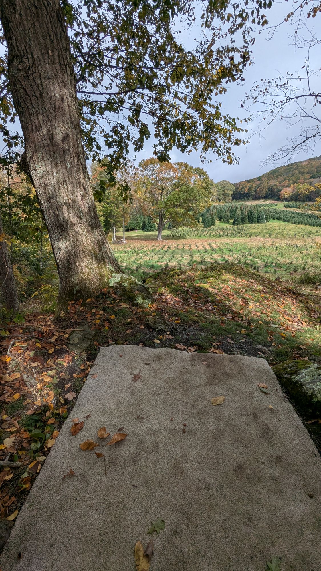 Hole 22