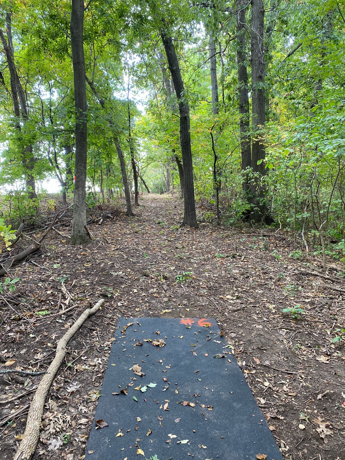Hole 6 tee