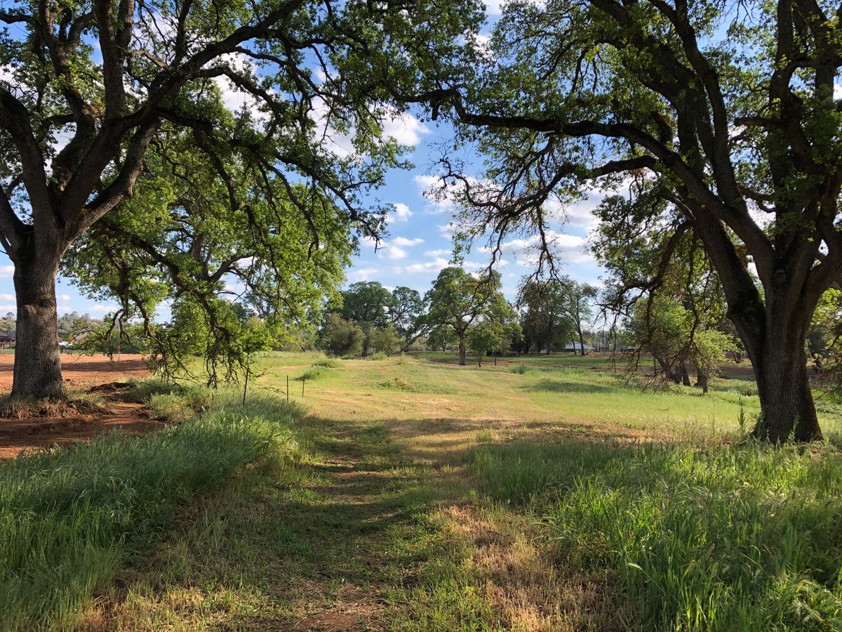 Hole 12