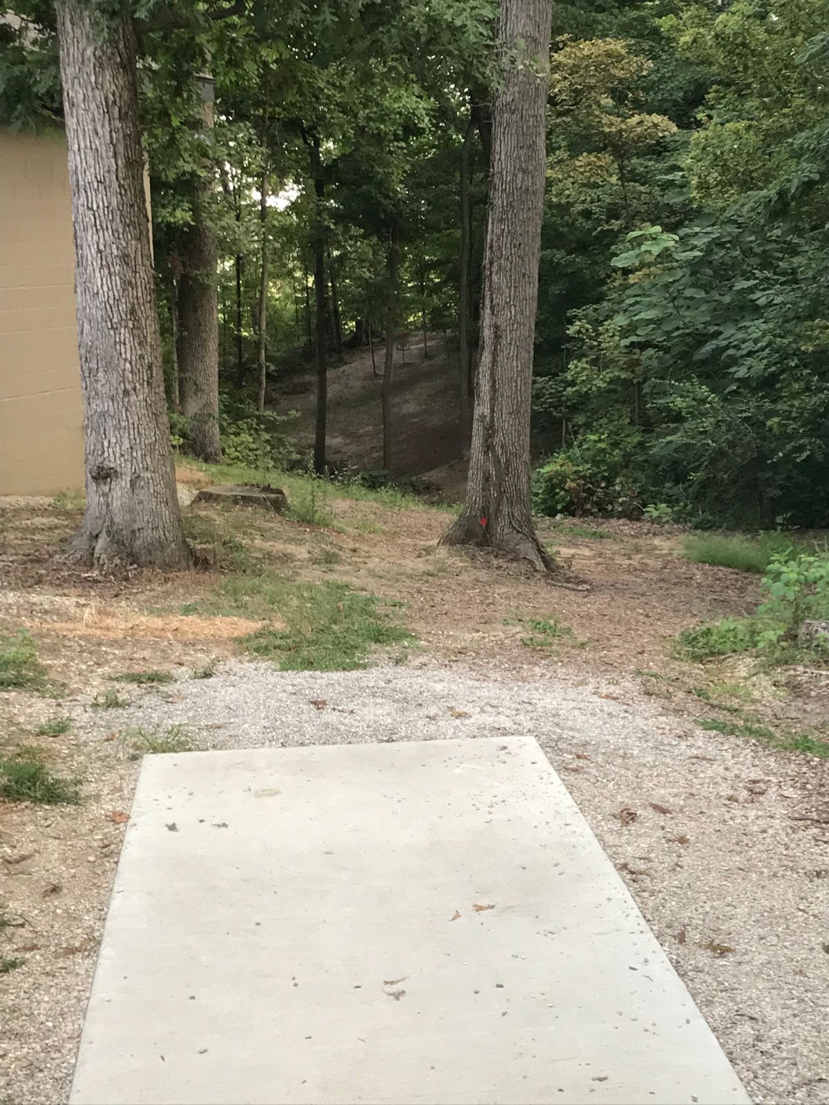# 8 Tee into the woods and to the right