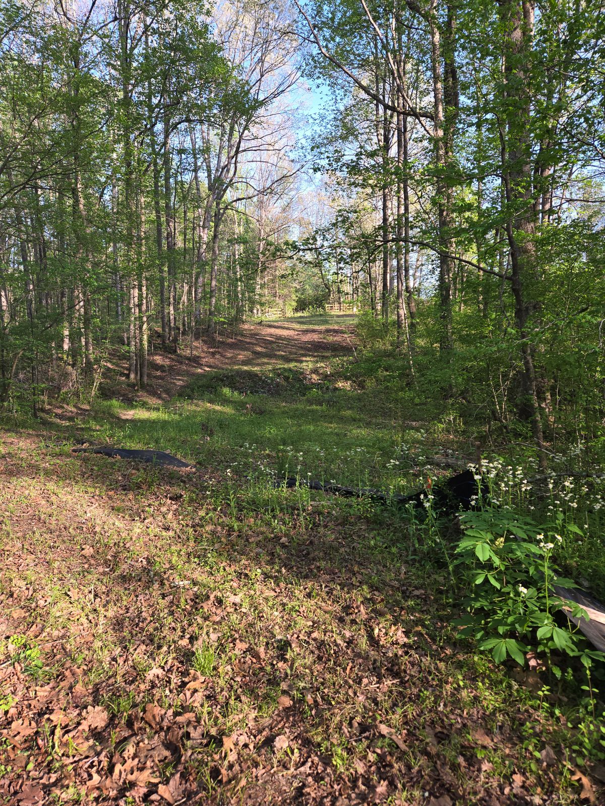 Hole 2 tee to green
