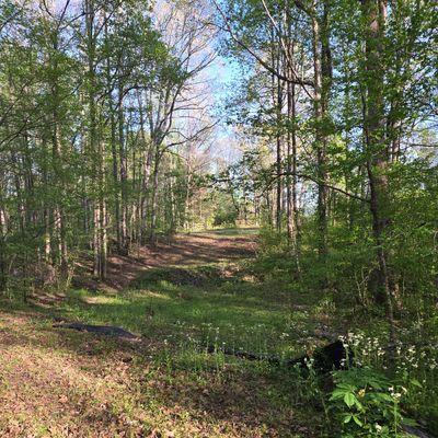 Hole 2 tee to green
