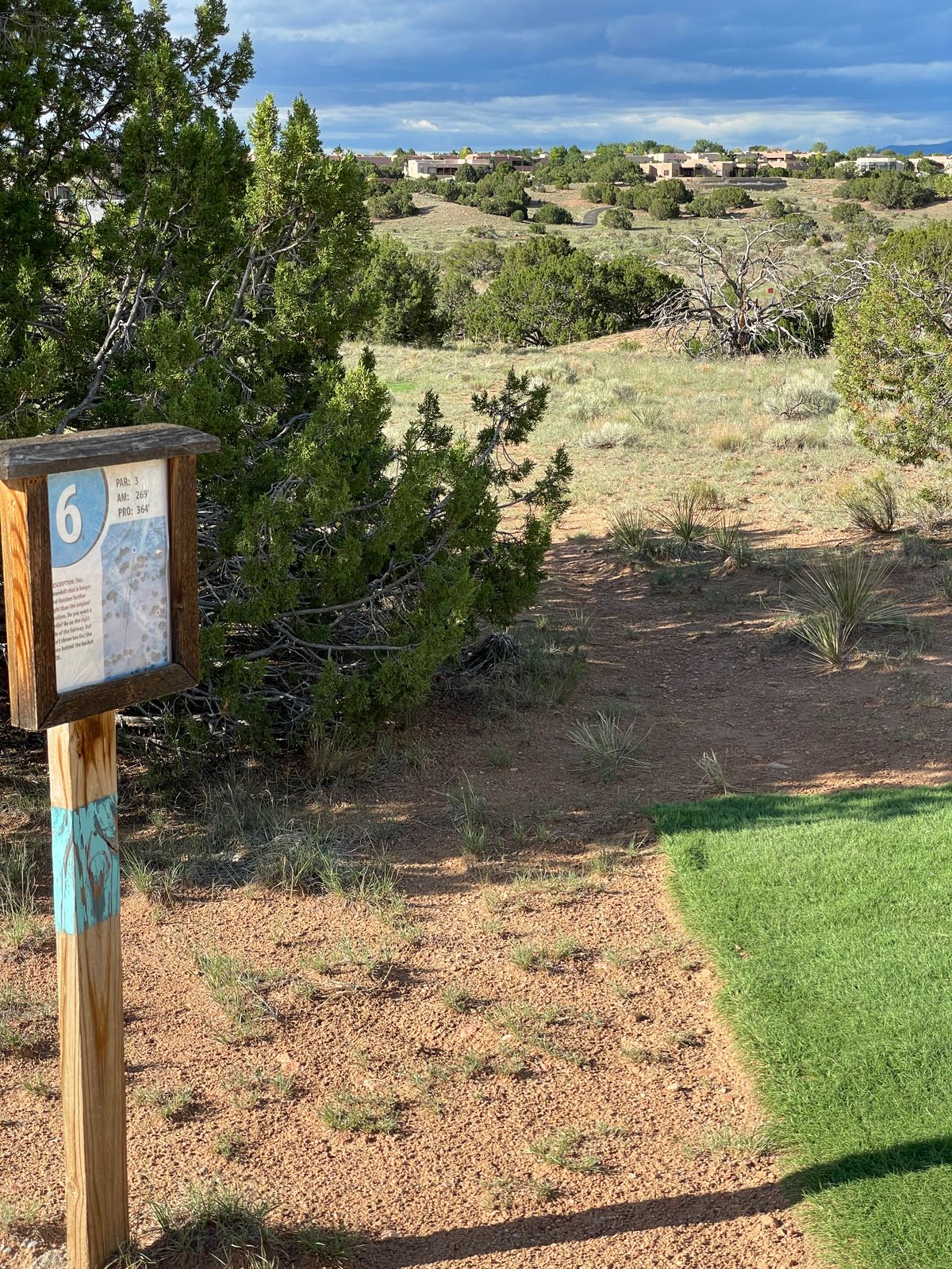 Hole 6 Pro tee pad