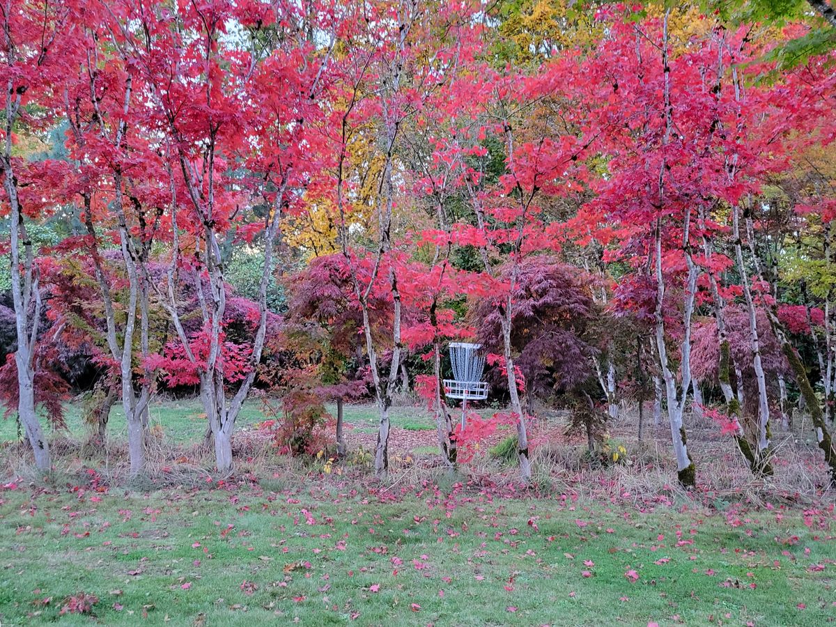 Colors on the farm popping