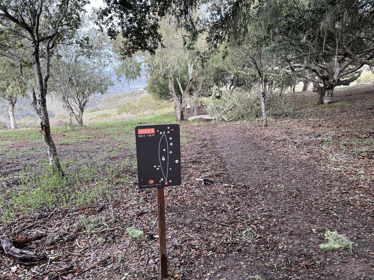 Hole 8 - Par 3 178ft