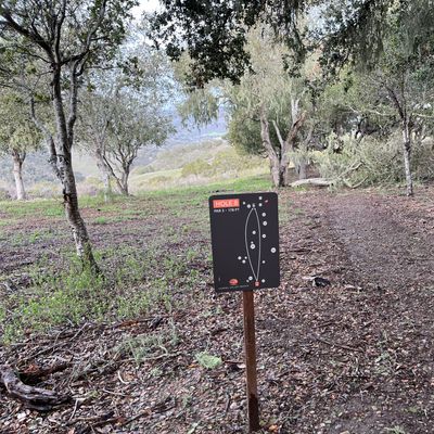 Hole 8 - Par 3 178ft