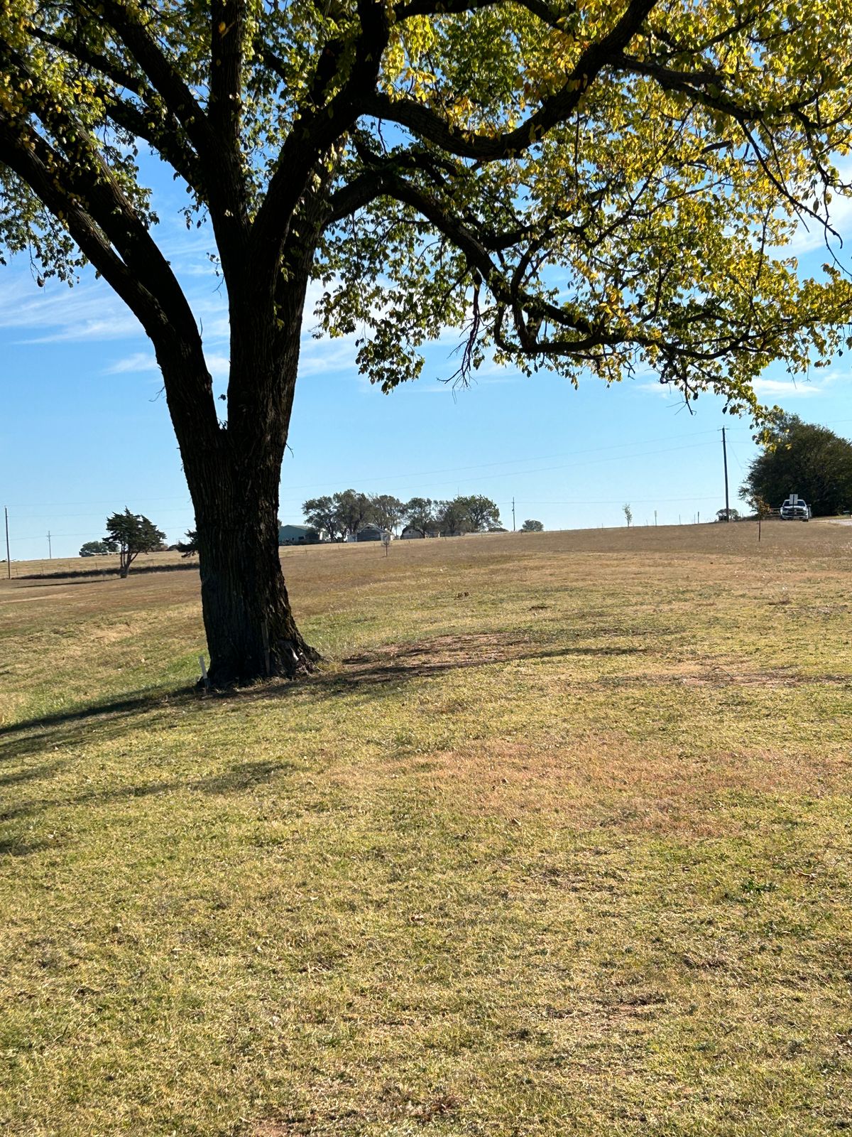 Hole 6